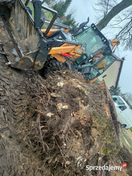 Porządkowanie działek utylizacja zakrzaczeń lubelskie Parczew