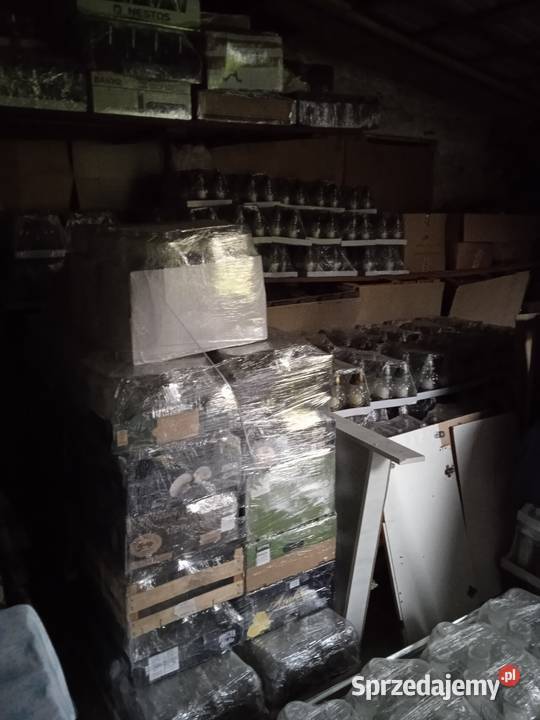 Znicze wyprzedaż wielkopolskie Konin