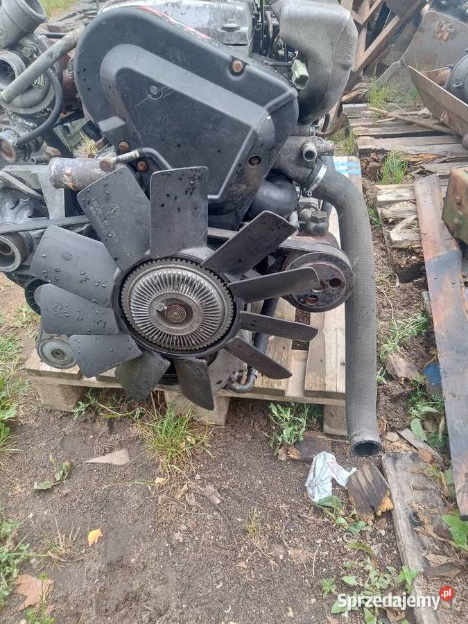 Gaz Gazela lubelskie