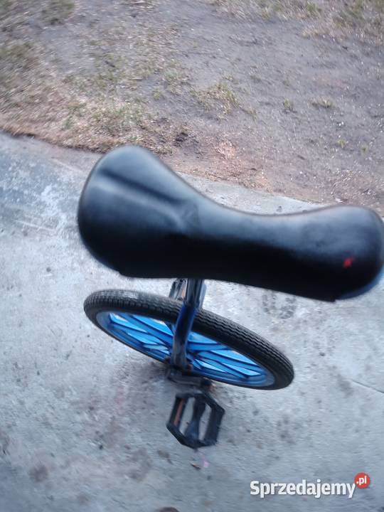 Monocykl jednokołowiec Carver sprawny Aleksandrów