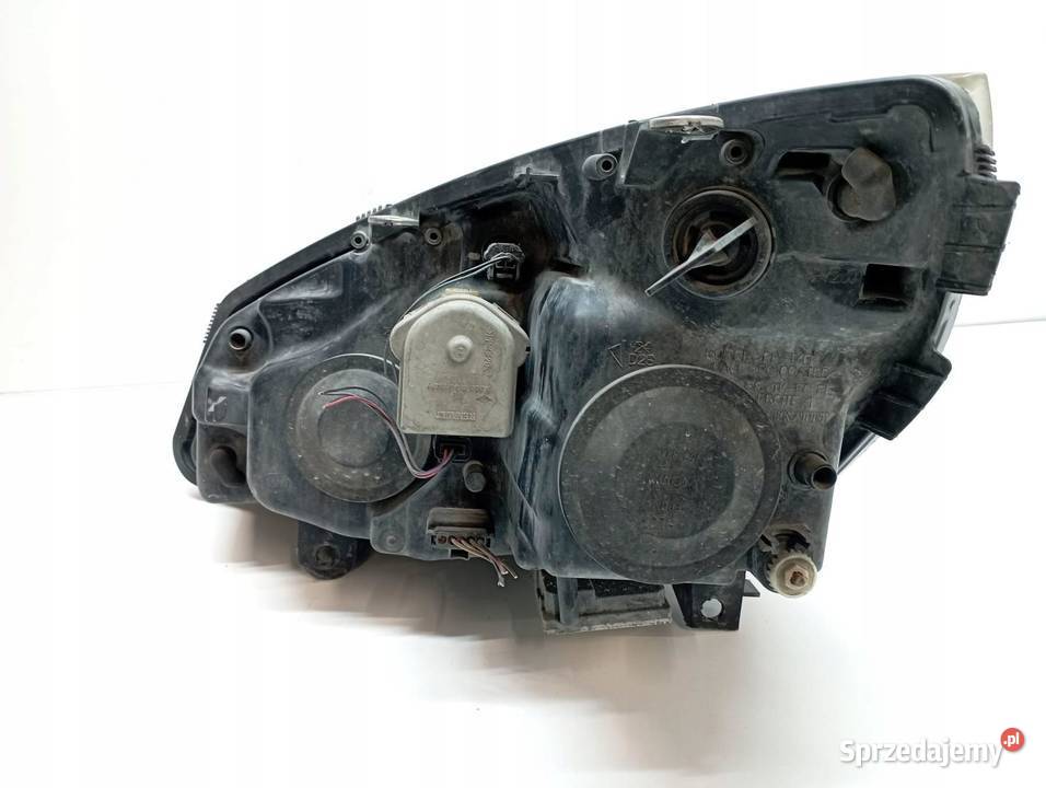 LAMPA PRZÓD PRAWA EUROPA XENON Renault Scenic II