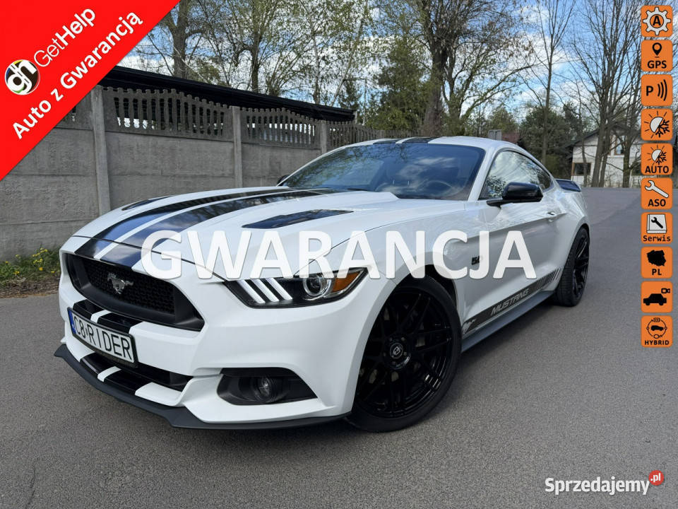 Ford Mustang 50 GT 69 Niski przebieg Jasna skóra VAT marża mazowieckie Otwock Mały