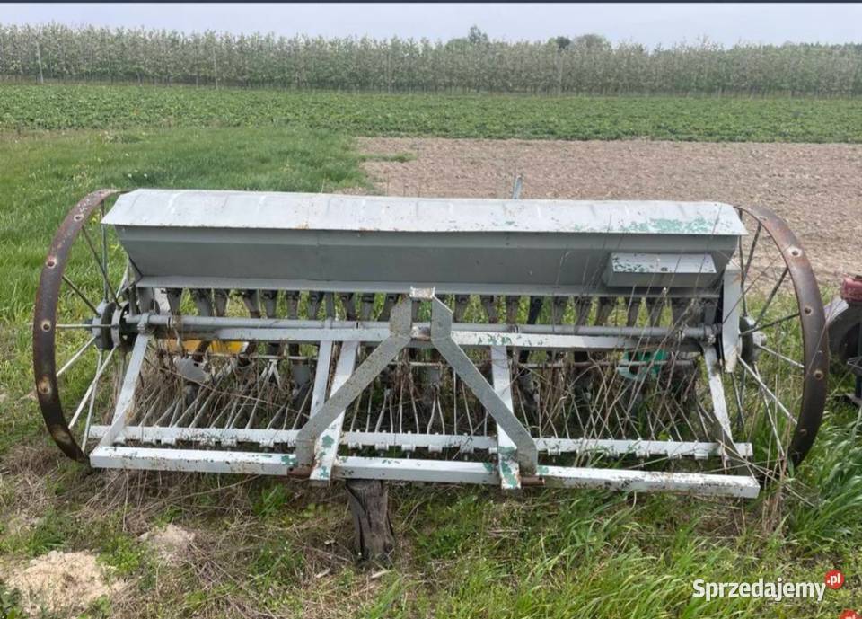 Siewnik konny Glinnik