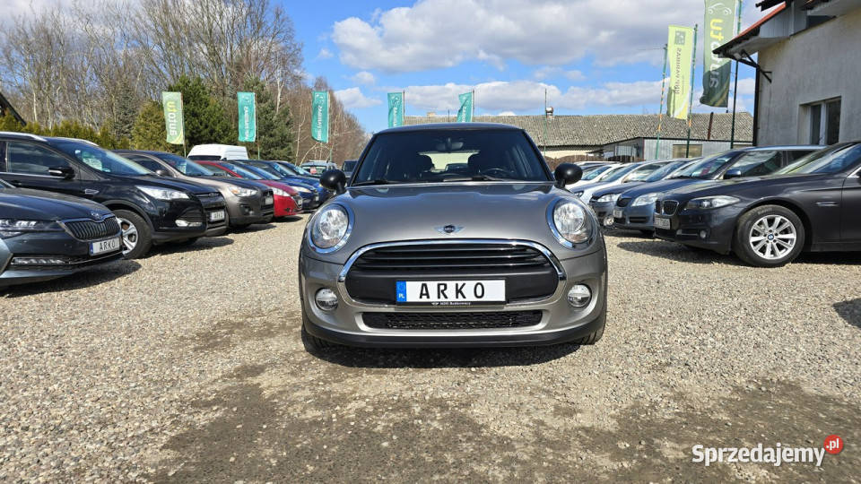 Mini ONE Wyjątkowo ładny II 2006 Zieleniewo