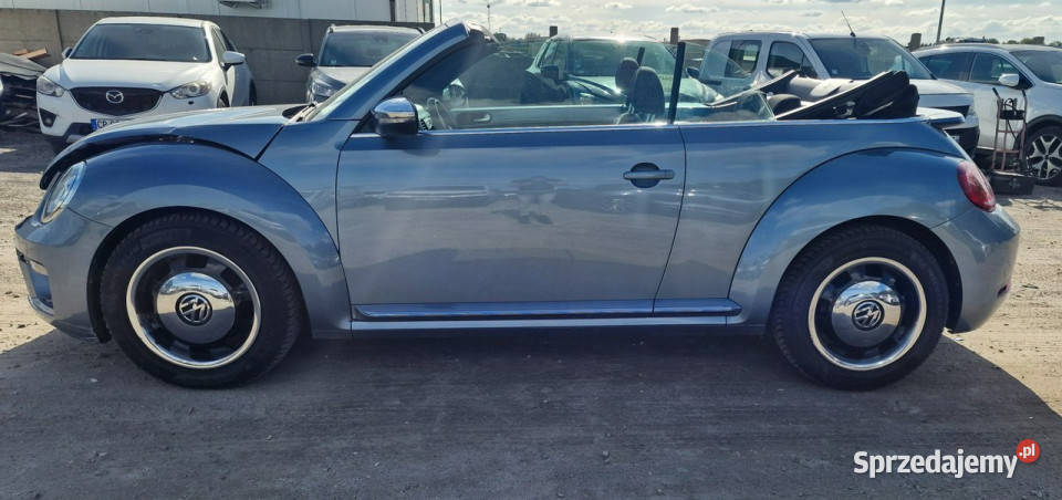 Volkswagen Beetle vw beetle coccinelle Pleszew