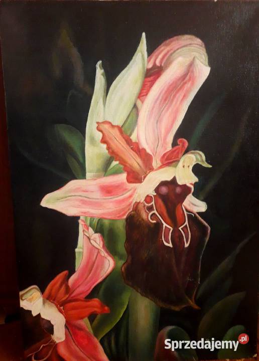 Obraz olejny Lilie Kielce