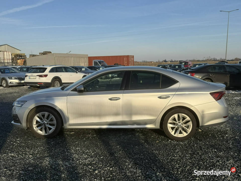 koda Octavia 20TDi 2021 Ambition kamera Lane Wojkowice