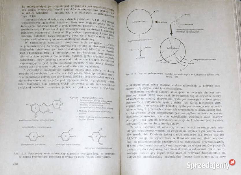 Fizjologia roślin sadowniczych Leszek Jankiewicz lubelskie Chełm