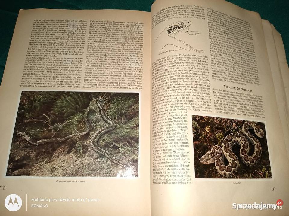 Książka album Fauna europejska śląskie