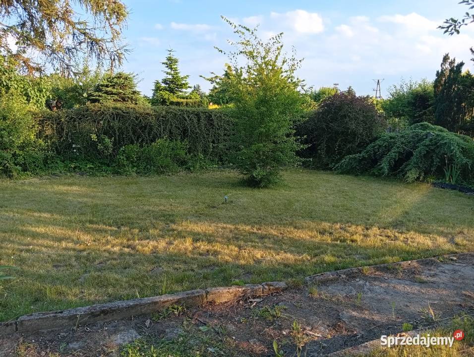 Na sprzedaż działka ROD Szczecin Krzekowo 399m2