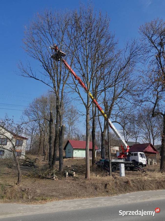 Wycinka drzew Pozostałe usługi Tomaszów Lubelski