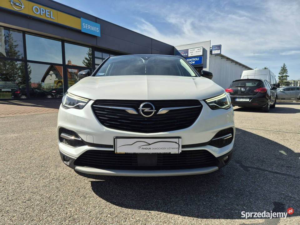 Opel Grandland X Opel Grandland X Design Line 16 komputer pokładowy warmińsko-mazurskie