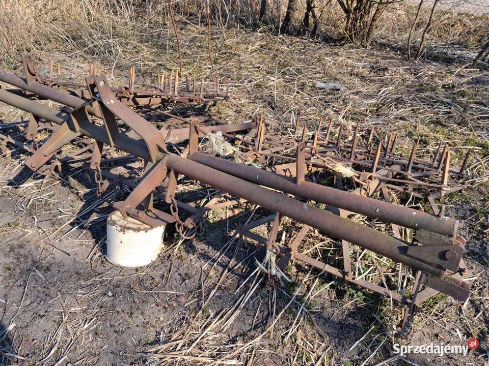 Brony 5 polowe Brony Koszalin