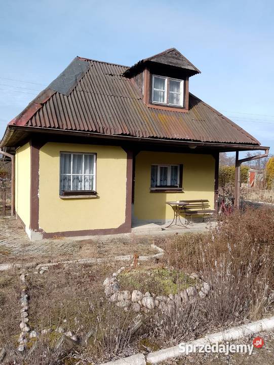 Sprzedam działkę ROD w Sierakowie koło wielkopolskie