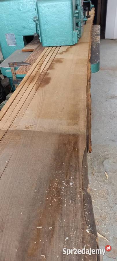 wielopiła Torwegge gąsienicowa Błotnica Strzelecka