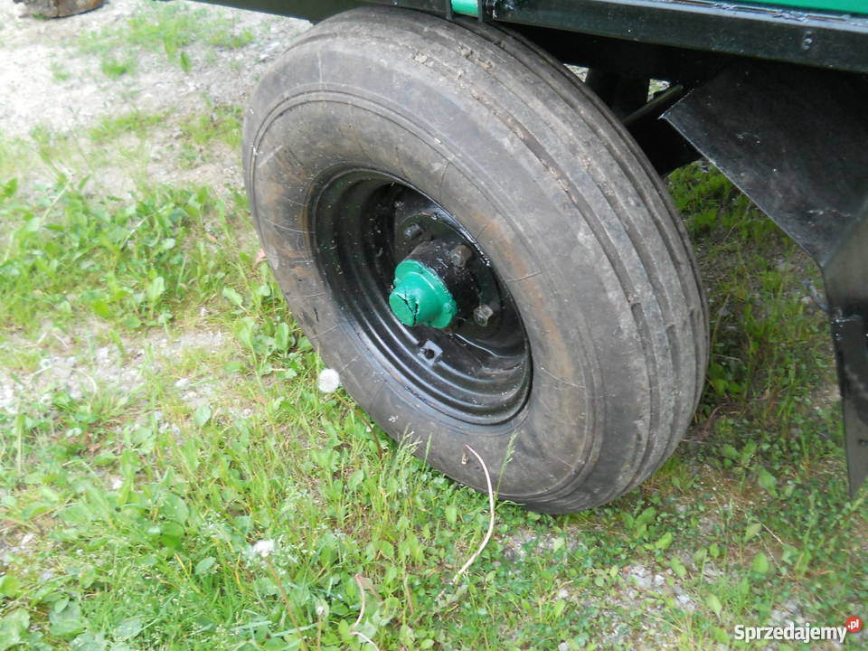 Rumunka małopolskie Spytkowice