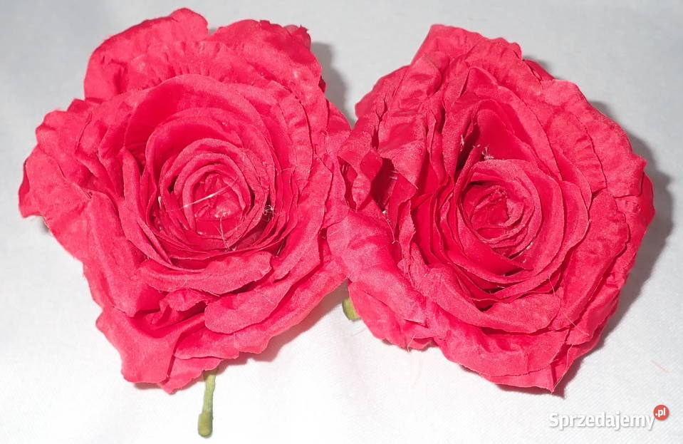 Róże rozwinięte różne kolory 1 śr 115 LA623