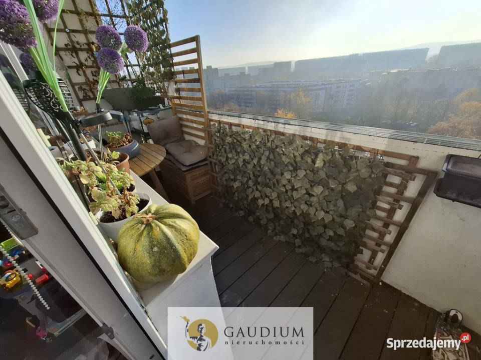 Kawalerka Zaspa 10 piętro Sprzedaż