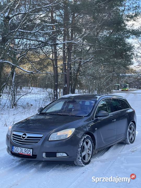 Opel Insignia 20cdti 130koni skórzana tapicerka Poznań