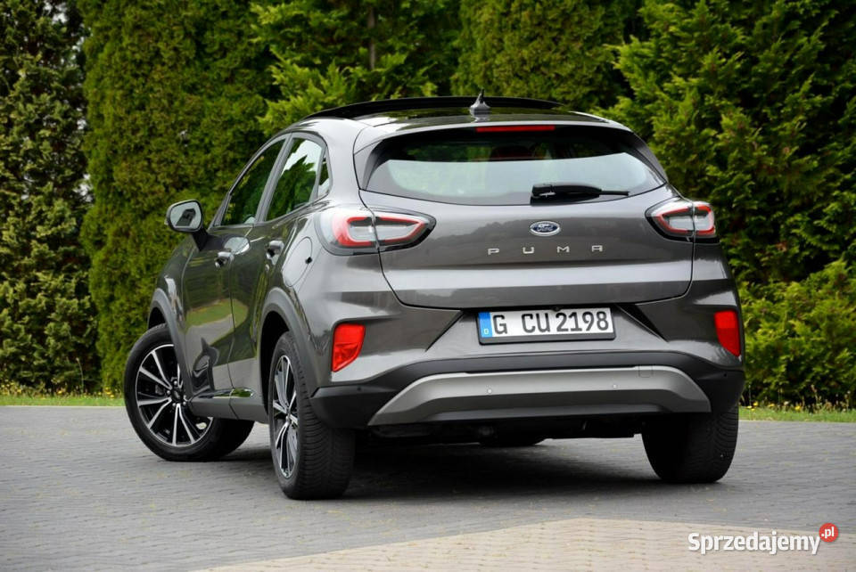 Ford Puma Panorama Radar Ledy Duża Navi Kamera