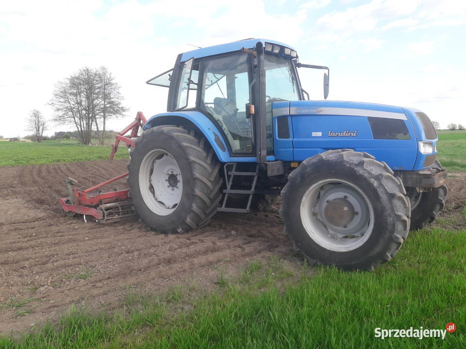 Landini legend 115 Pakosław sprzedam
