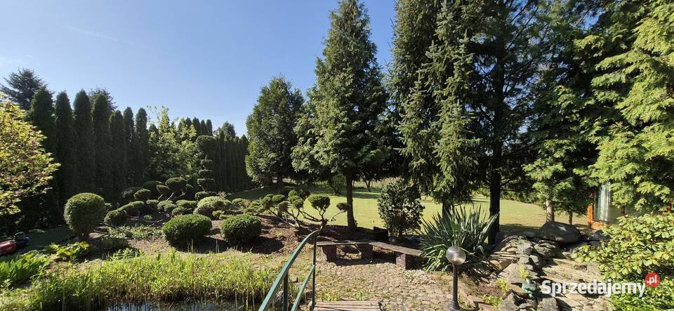 Usługi leśno ogrodnicze Pozostałe Usługi ogrodnicze Kurnędz