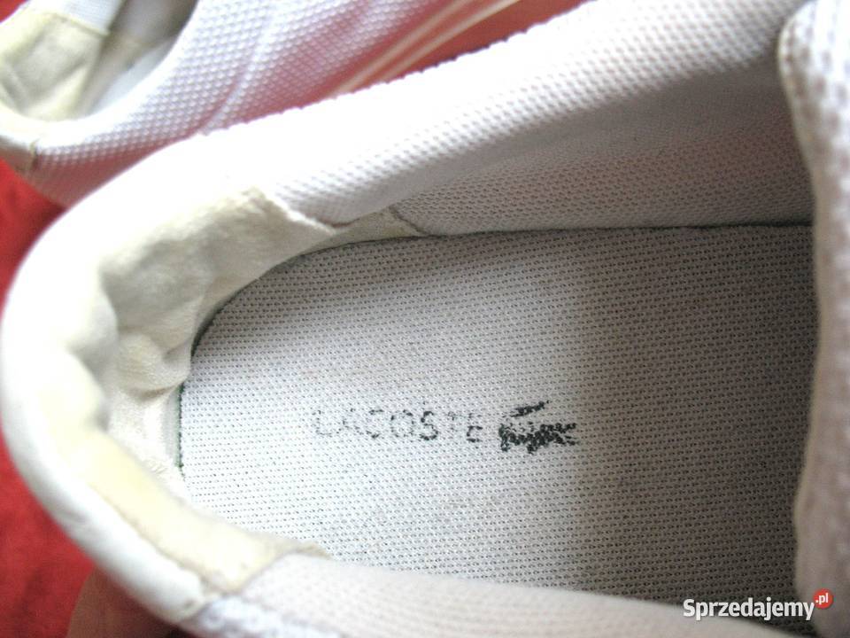 Buty sportowe Lacoste rozmiar 38 wkładka 24 Siedlce sprzedam