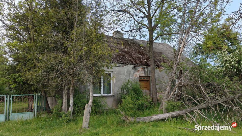 Sprzedam Siedlisko 358ha Budziska Latowicz