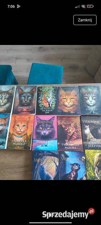 Zestaw książek Wojownicy Erin Hunter Mirzec