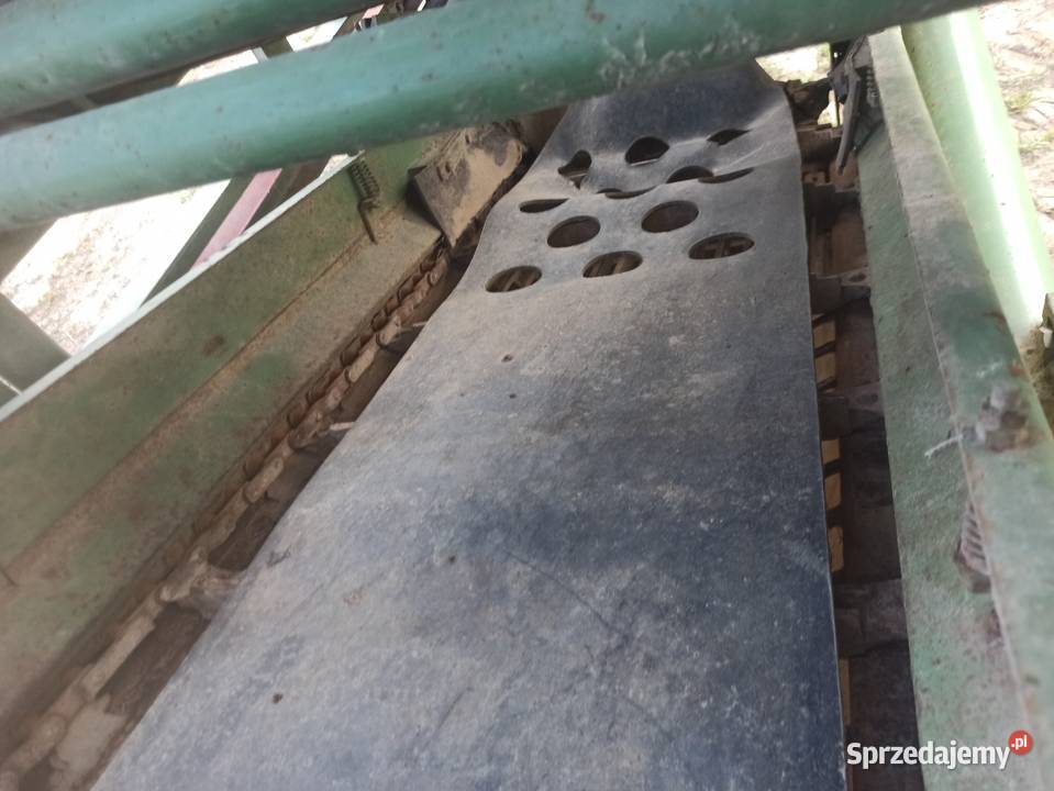 Kombajn ziemniaczany hassia własną hydraulika Paprotnia