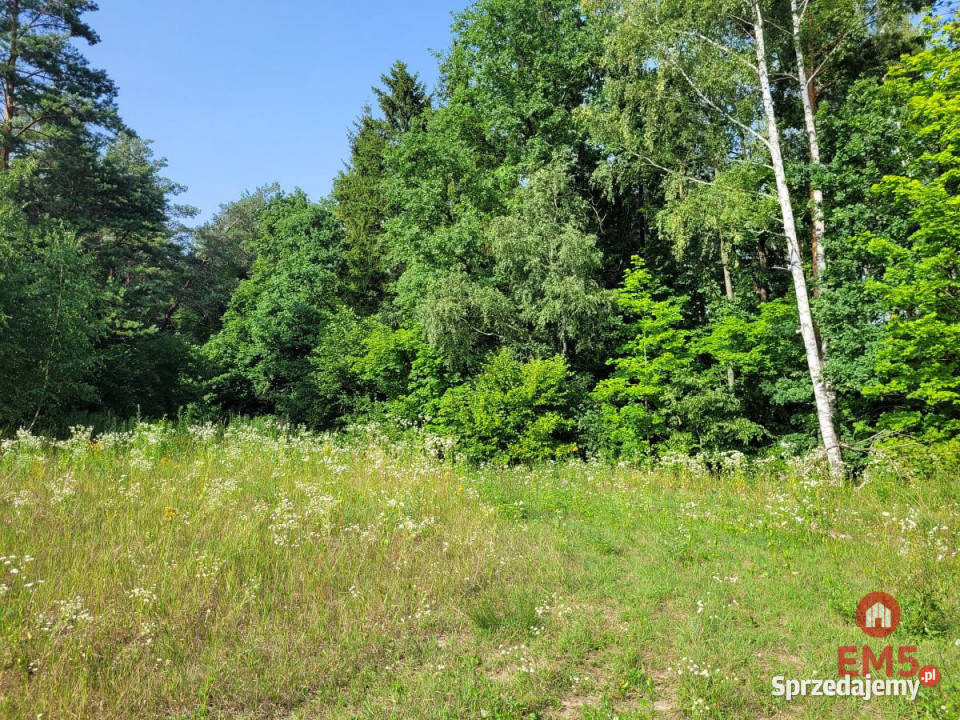Ogłoszenie działka 3000m2 Nowe Krzywe
