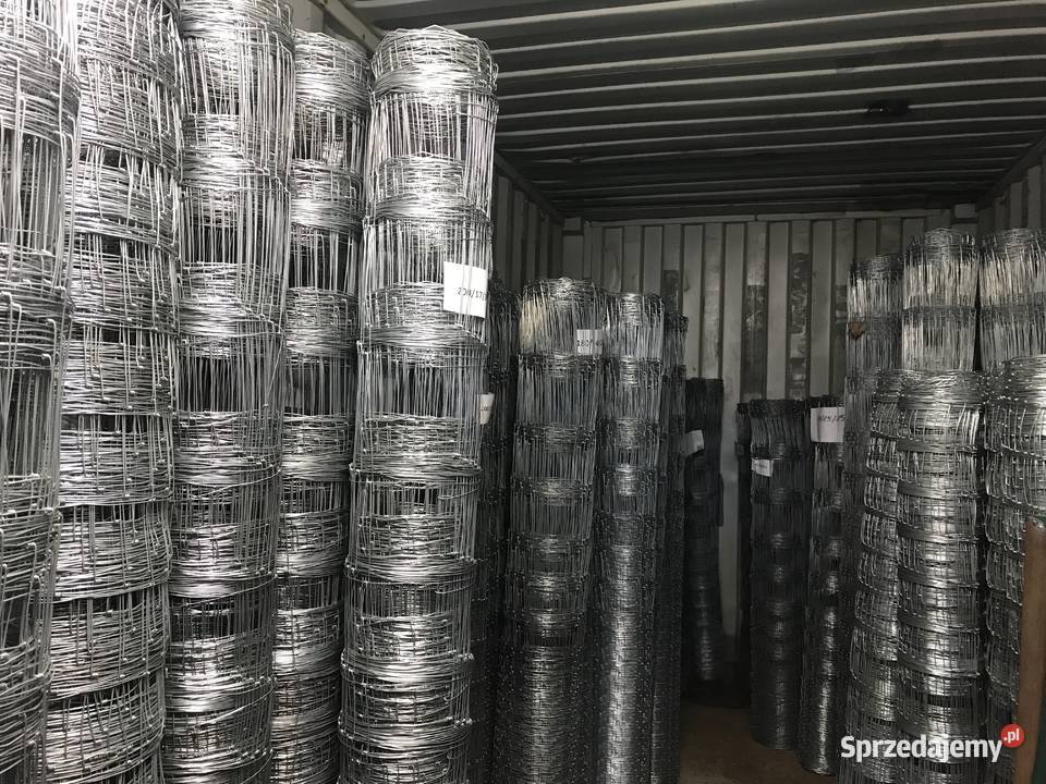 Siatka leśna 1801630 L rolka 50 mb Dostepna