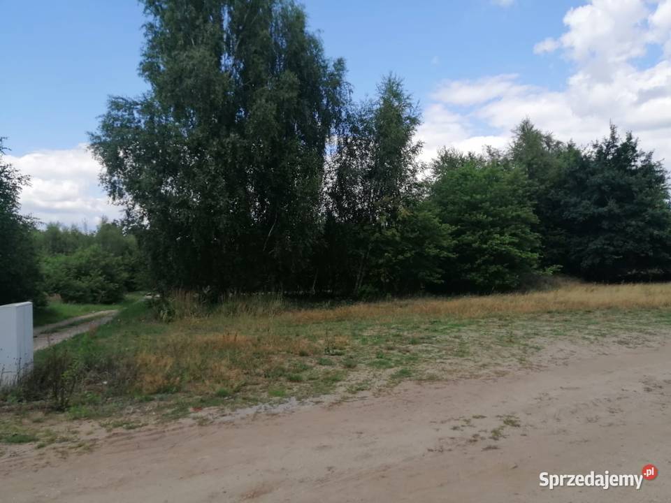 Działka budowlana w Słonym Słone sprzedam