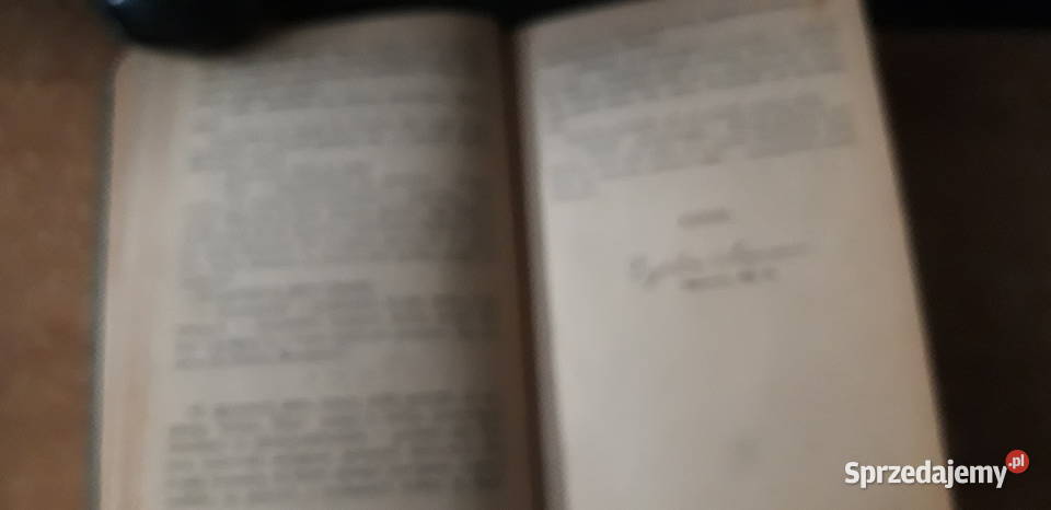 JOCURWOODPŁONĄCY LASWa1930pierwodruk No3224 cudo Iwno