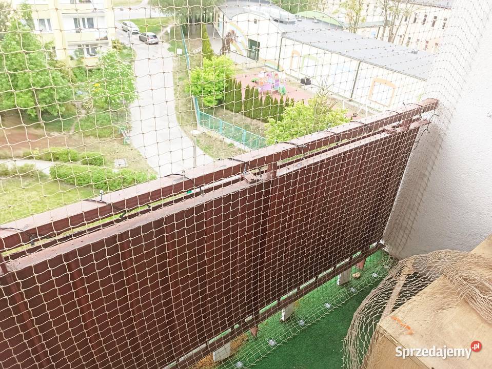 montaż siatki kotów ptaków siatka