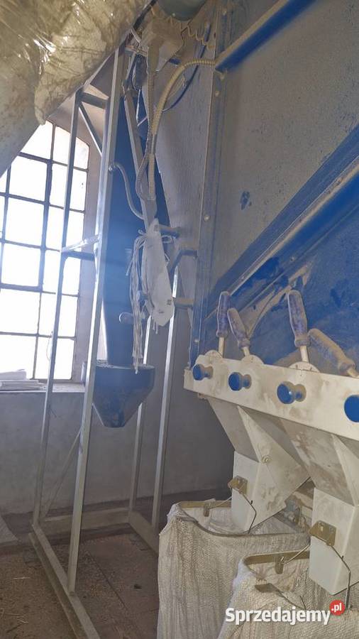 separator Międzychód