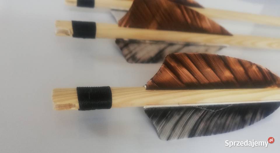 Strzały do łuku drewniane tradycyjne pióra Nowy Sącz sprzedam