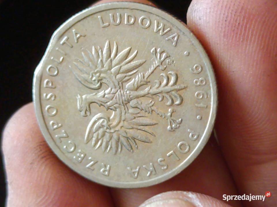 Sprzedam 20 zloty 1986 odkroj blachy Chełm