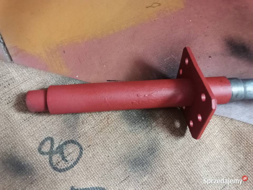 Bizon oś ślimaka Horodło