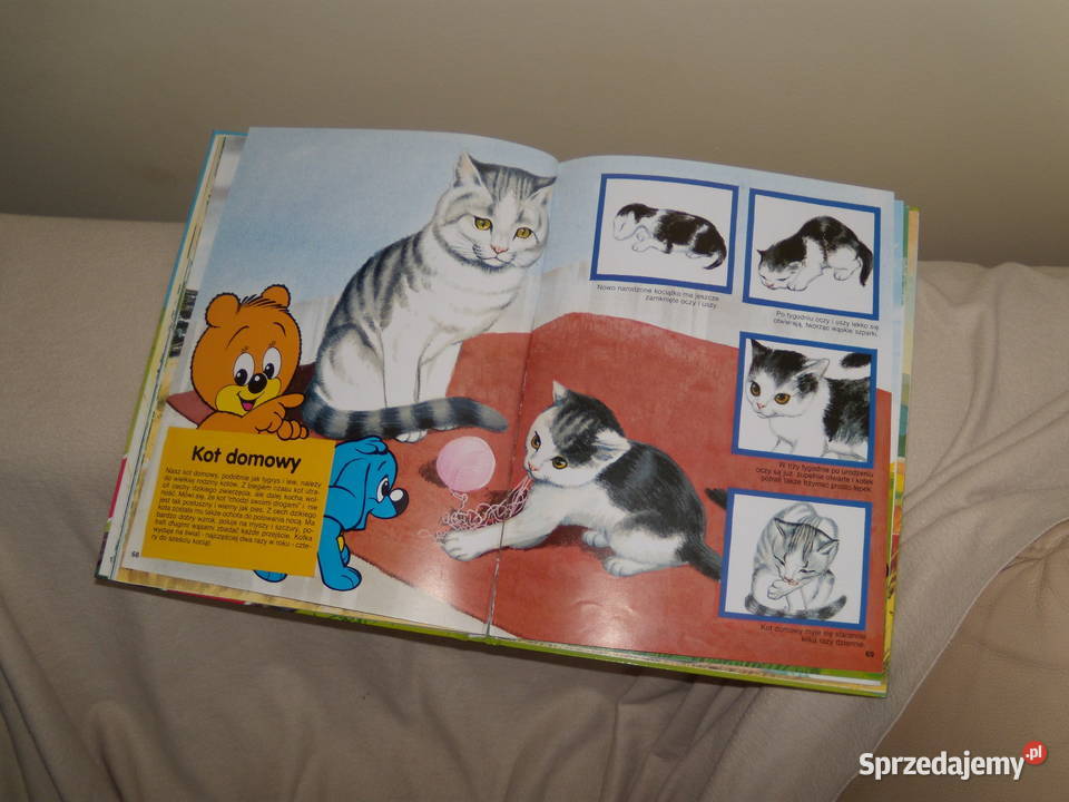 Miś Bussi przedstawia świat zwierząt Warszawa