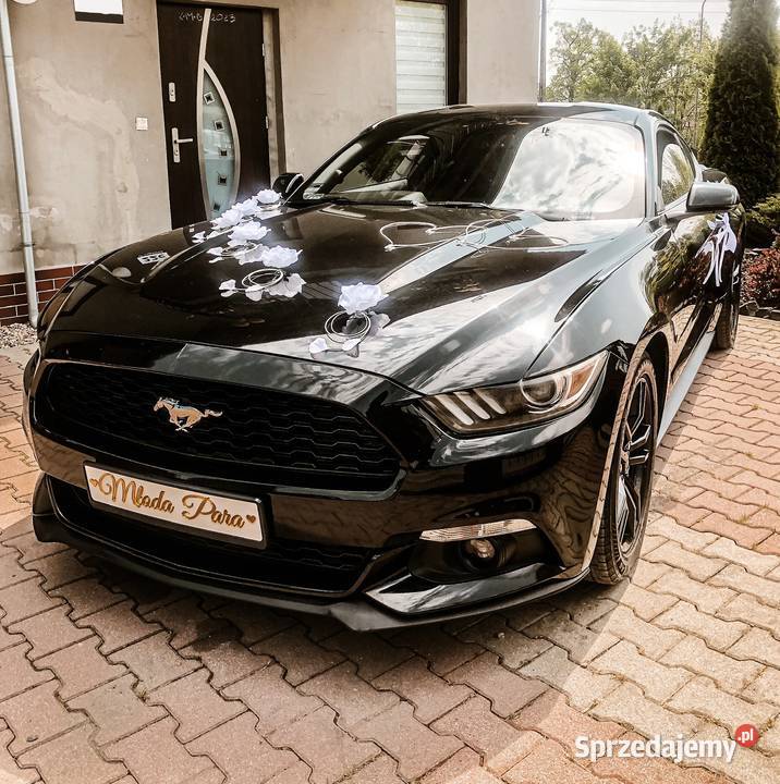 Samochód Sportowy do Ślubu na wesele MUSTANG Legnica