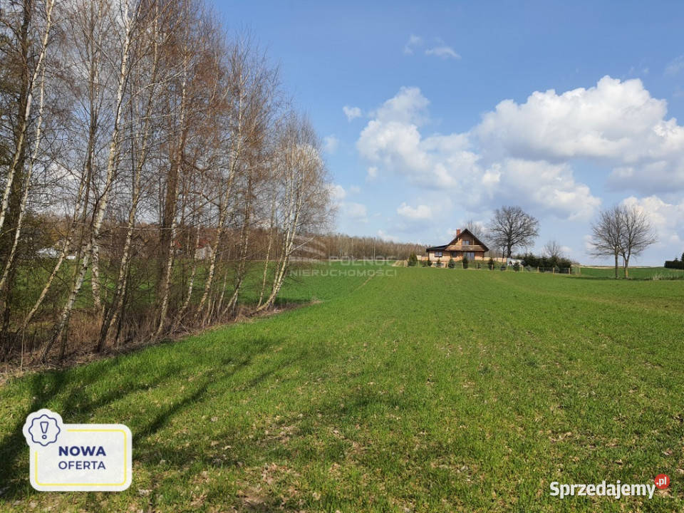 Unikatowa działka w Dolinie Tyśmienicy 3816m 35m Sprzedaż Komarne