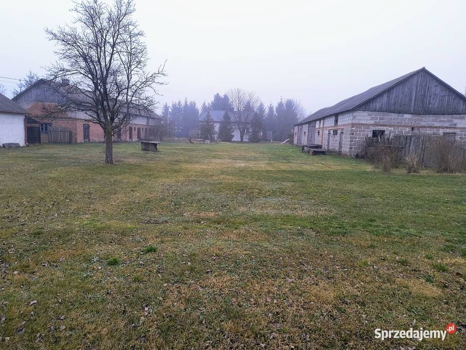 Dom z dużą działką i zabudowaniami gospodarczymi 200m2 Zaświatycze
