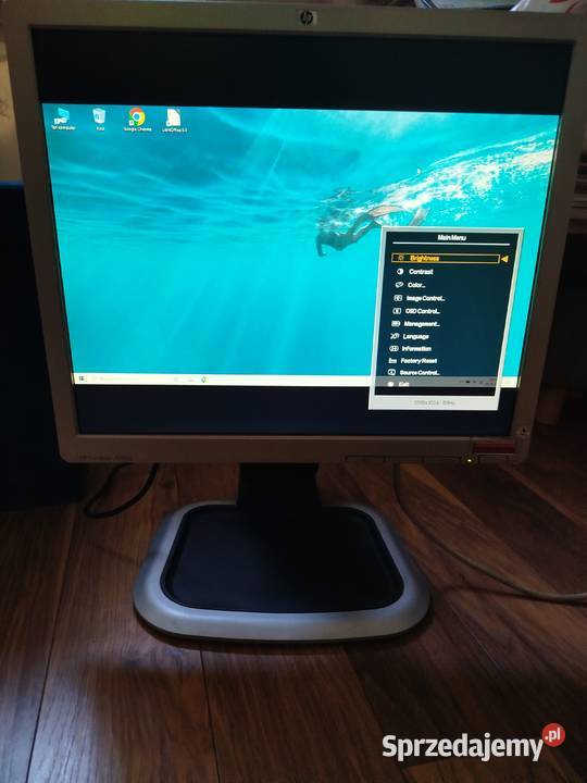 Monitor 19 DELL LA1951g VGA DVI USB Stan małopolskie Oświęcim