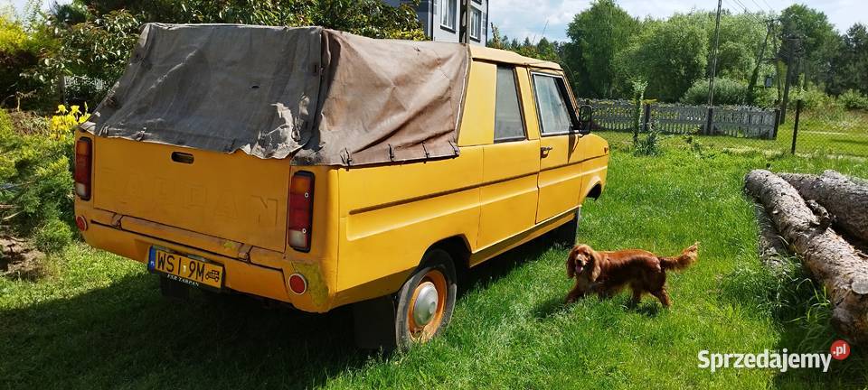 Tarpan Wólka Łysowska