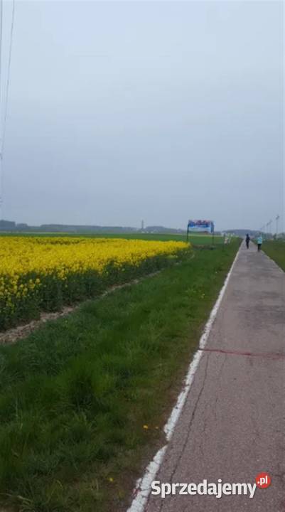 Działka pdużą reklamę BillboardNiechorze zachodniopomorskie