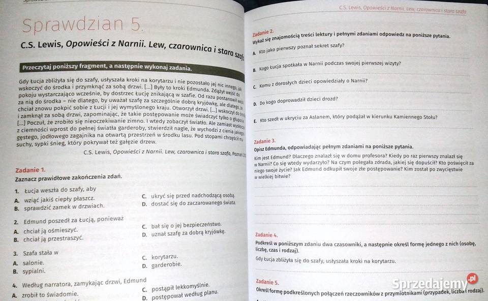 Sprawdziany klasy 4 Język Polski Anna Lasek Pozostałe Chełm