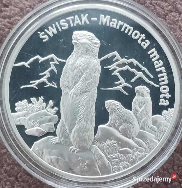 20 Świstak 2006 r Lustrzanka mennicze Konin