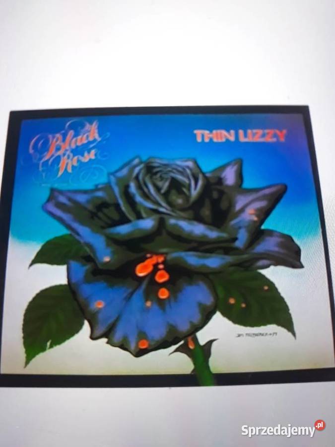 Klasyka hard rocka THIN LIZZY Black Rose 1979
