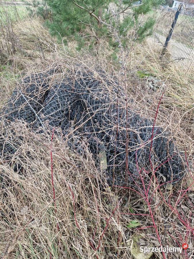 Siatka ogrodzeniowa używana 60 mb Siatki i panele
